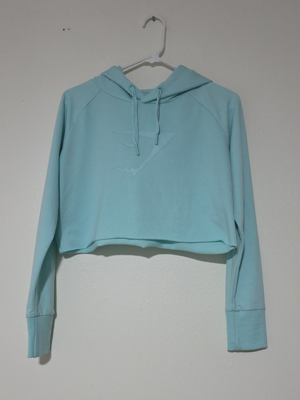 Gymshark Cropped Hoodie in Light Aqua